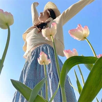 夏绿蒂的网