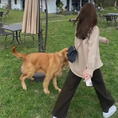 马里布救生队